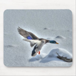 Mallard Duck Wildlife Foto für Vogelliebhaber Mousepad