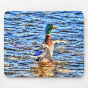 Mallard Duck Wildlife Foto für Vogelliebhaber Mousepad