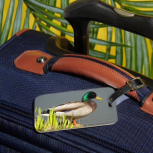 Mallard Duck Wildlife Foto Gepäckanhänger