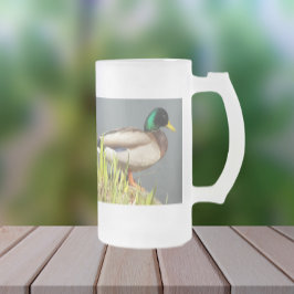 Mallard Duck Wildlife Foto Mattglas Bierglas