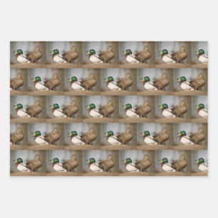 Mallard Duck Wrapping Paper Geschenkpapier Set