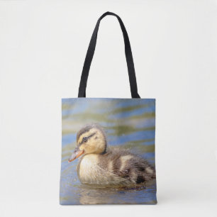 Mallard Duckling