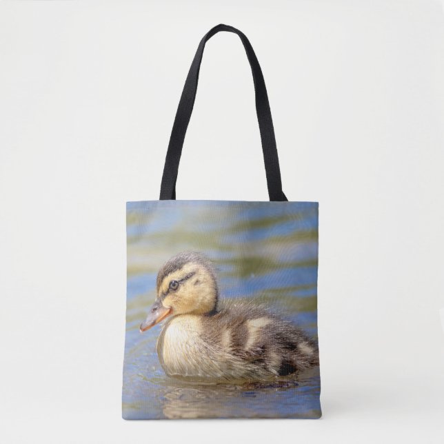 Mallard Duckling (Vorderseite)