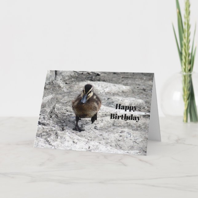 Mallard Duckling Foto Birthday Karte (Vorderseite)