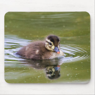 Mallard Duckling Mousepad