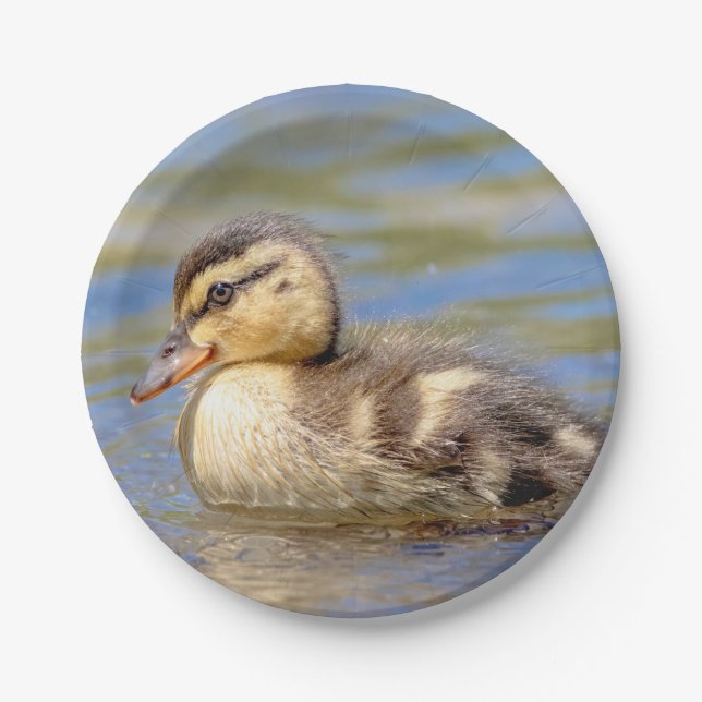 Mallard Duckling Pappteller (Vorderseite)