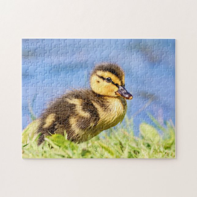 Mallard Duckling Puzzle (Horizontal)