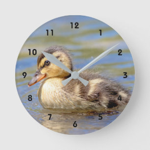 Mallard Duckling Runde Wanduhr