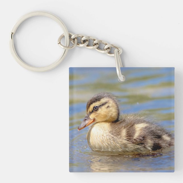 Mallard Duckling Schlüsselanhänger (Vorderseite)