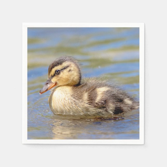 Mallard Duckling Serviette (Vorderseite)