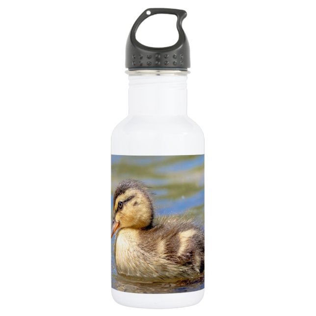 Mallard Duckling Trinkflasche (Vorderseite)