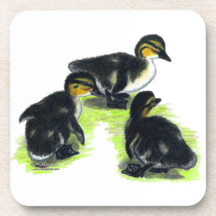 Mallard Ducklings Getränkeuntersetzer