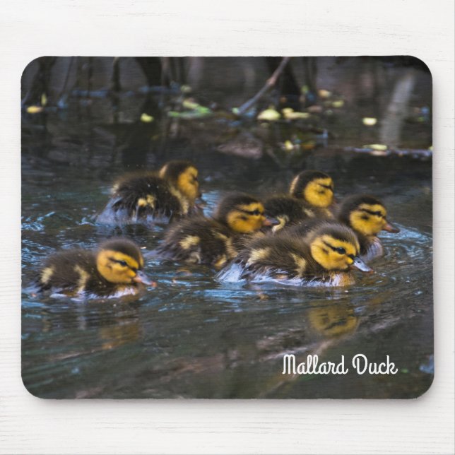 Mallard Ducklings Mousepad (Vorne)