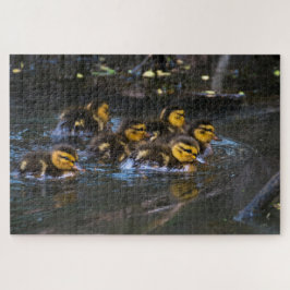Mallard Ducklings Puzzle