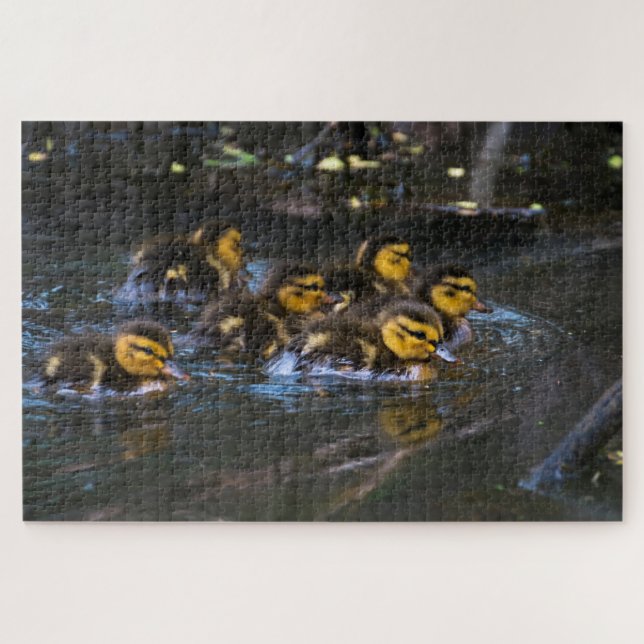 Mallard Ducklings Puzzle (Horizontal)