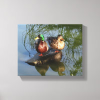 Mallard Ducks #2 Leinwand