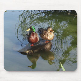 Mallard Ducks #2 Mouse Pad Mousepad