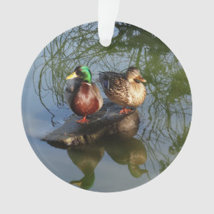 Mallard Ducks #2 Ornament