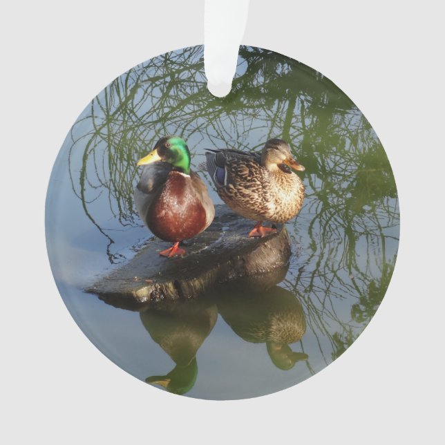 Mallard Ducks #2 Ornament (Vorderseite)
