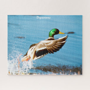 Mallard Ducks Departures Puzzle