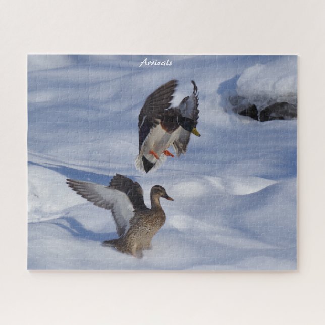 Mallard Ducks Departures Puzzle (Horizontal)