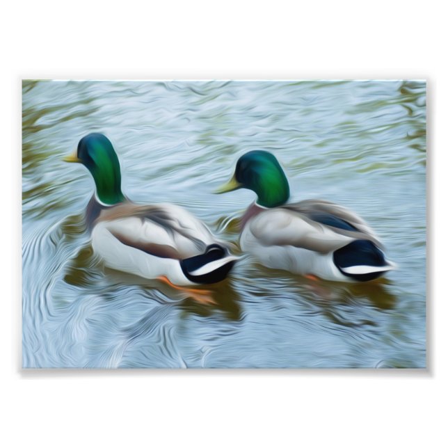 Mallard Ducks Fotodruck (Vorne)