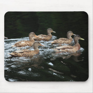 Mallard-Ducks Mousepad