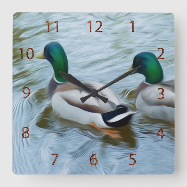 Mallard Ducks Quadratische Wanduhr (Vorderseite)