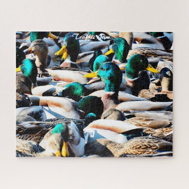 Mallard Ducks Traffic Jam Jigsaw Puzzle (Horizontal)