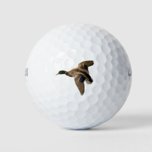 Mallard Enck Flying Nature Bird Greenhead Männchen Golfball