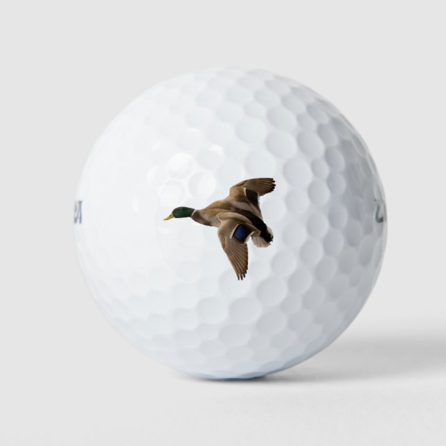 Mallard Enck Flying Nature Bird Greenhead Männchen Golfball (Vorderseite)