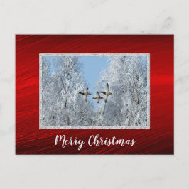 Mallard Encks Flying Snow Foto Weihnachten Postkarte