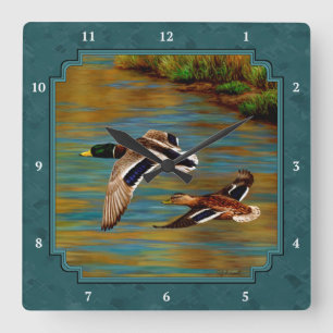 Mallard Encks im Flug Aquamarin Quadratische Wanduhr