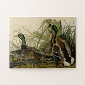 Mallard Encks von Audubon's Birds of America Puzzle
