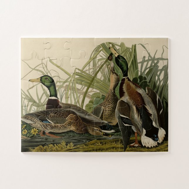 Mallard Encks von Audubon's Birds of America Puzzle (Horizontal)