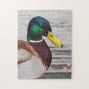 Mallard Ente Puzzle