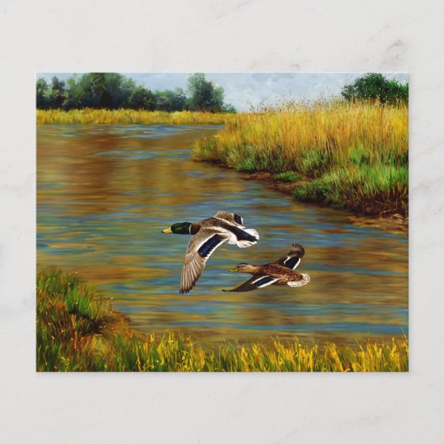 Mallard Enten fliegen über Teich (Vorderseite)