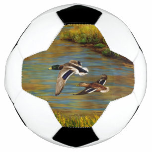 Mallard Enten fliegen über Teich Fußball