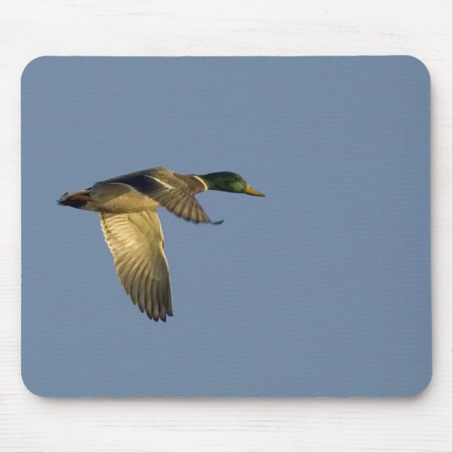 Mallard fliegt in einem Himmelsmousepad Mousepad (Vorne)