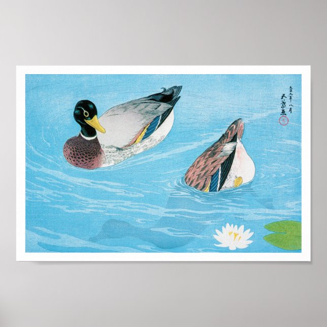 Mallard im Teich, Goyō Hashiguchi Poster (Vorne)