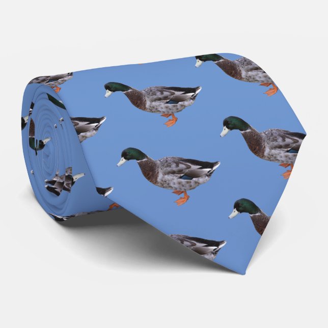 Mallard Krawatte (Gerollt)