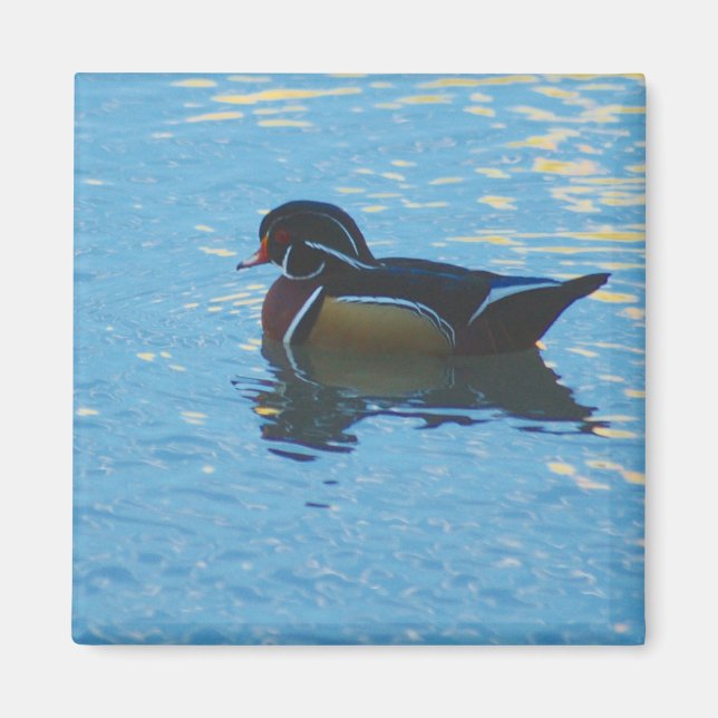 Mallard Magnet (Vorne)