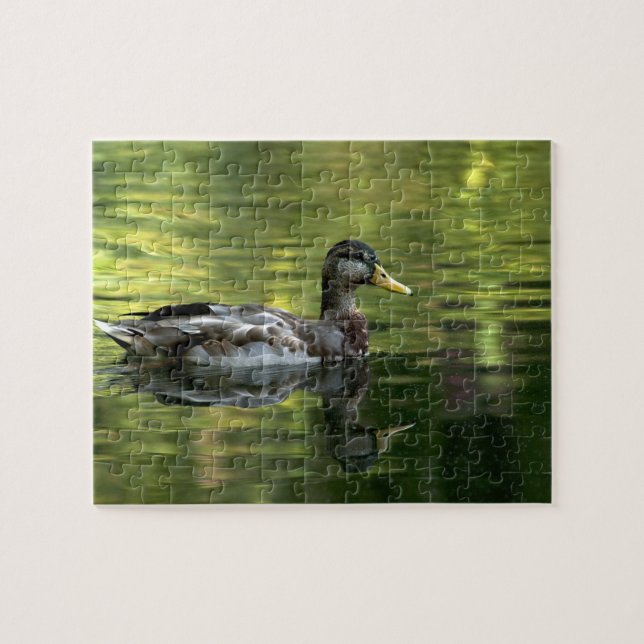 Mallard Mirrored auf grünem Wasser Puzzle (Horizontal)
