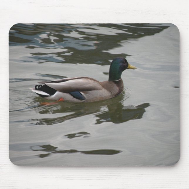 Mallard Mousepad (Vorne)