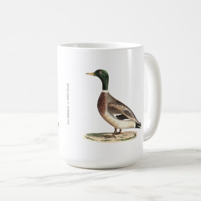 Mallard oder Wilde Ente (Anas platyrhynchos) Kaffeetasse (VorderseiteRechts)