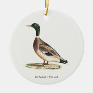 Mallard oder Wilde Ente (Anas platyrhynchos) Keramik Ornament