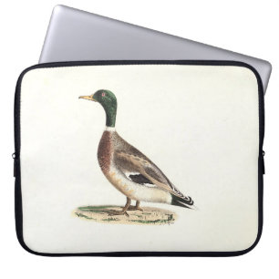 Mallard oder Wilde Ente (Anas platyrhynchos) Laptopschutzhülle