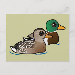 Mallard Pair Postkarte
