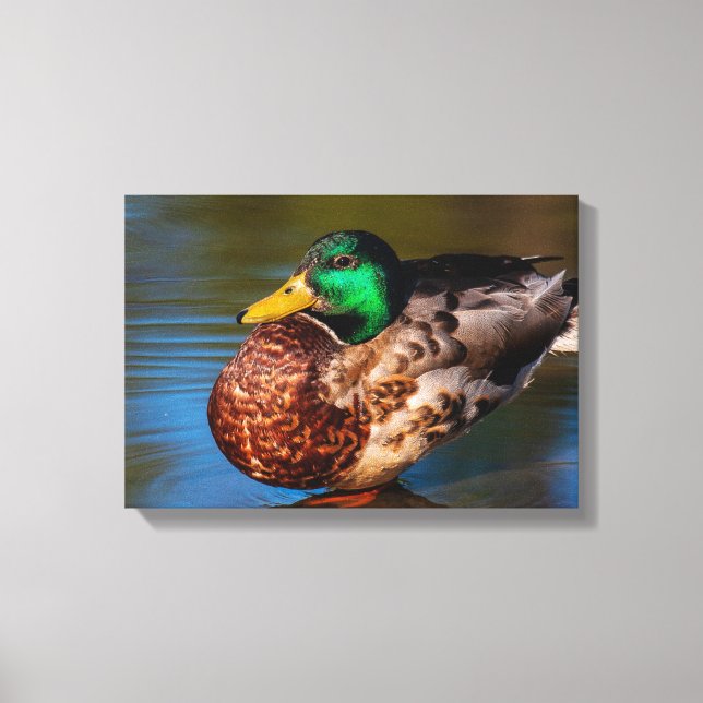 Mallard Portrait Leinwanddruck (Vorderseite)