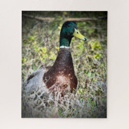 Mallard Puzzle